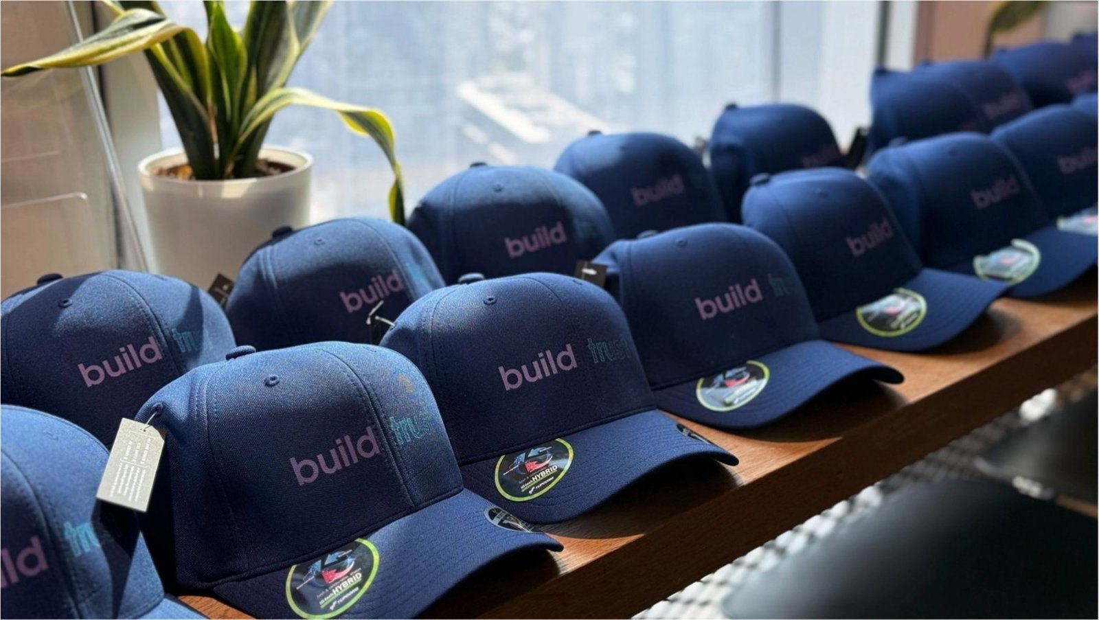 Row of navy build trust caps on a windowsill
